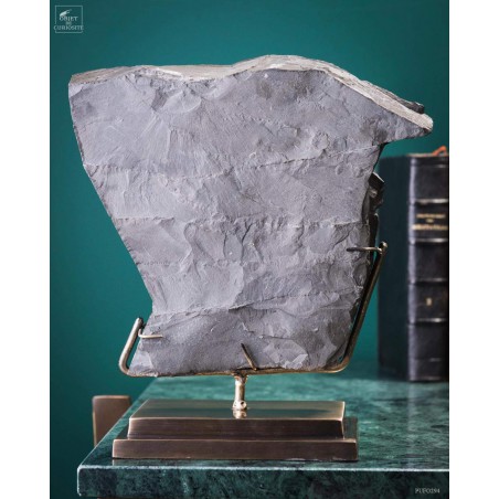 Ammolite de Somerset (UK) 1.64kg sur gangue