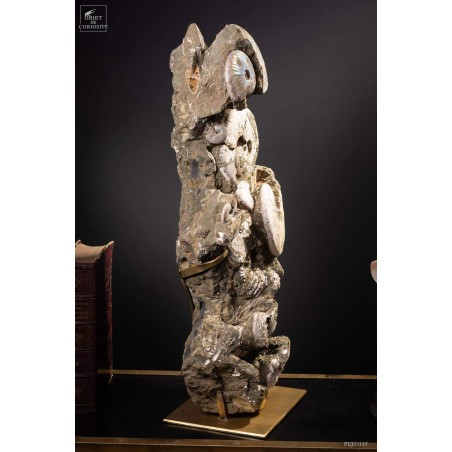 Block of albian ammonite 28kg VISIBLE AT OMBRES ET FACETTES