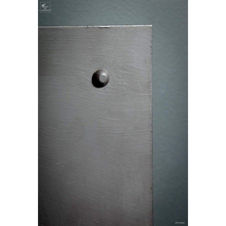 Crinoïde grande plaque 4 têtes Support plasma