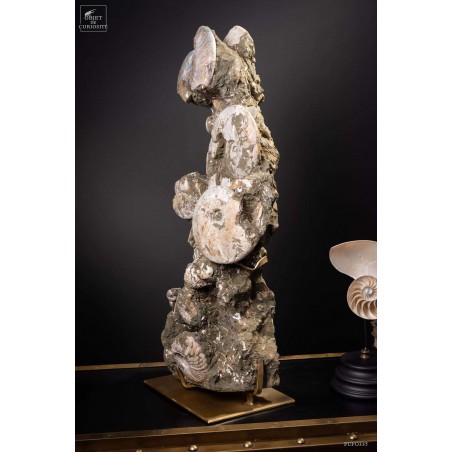 Block of albian ammonite 28kg VISIBLE AT OMBRES ET FACETTES