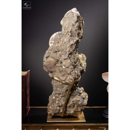 Block of albian ammonite 28kg VISIBLE AT OMBRES ET FACETTES