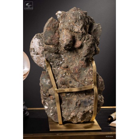 Block of Albian ammonite from Madagascar  (13.6kg)