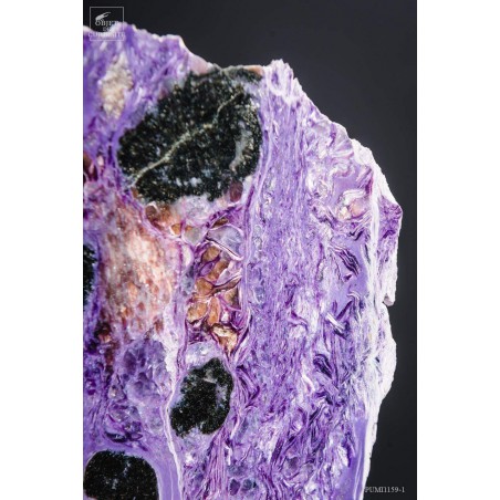 Charoite (purple) on black base