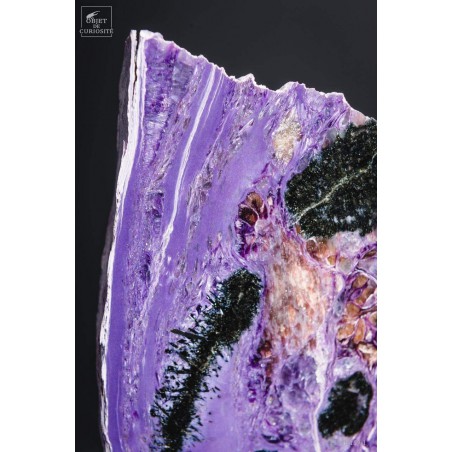 Charoite (purple) on black base