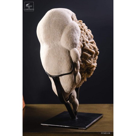 Bellecroix calcite on a french gogotte
