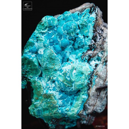 Chrysocolle naturelle du Pérou socle noir carré