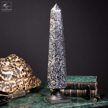 Prisme de Gabbro noir de 2.7kg