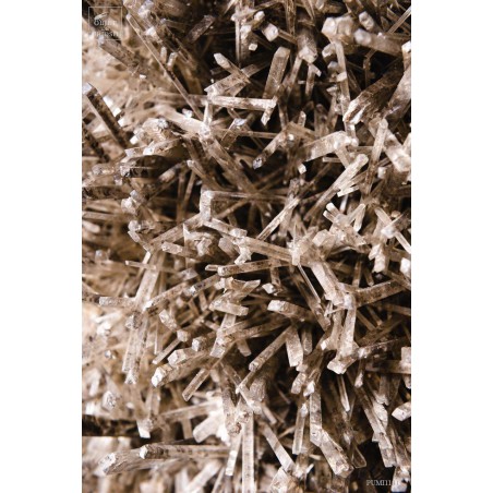 Gypse de Swan Hill (Australie) 12.25kg sur plaque fer noir