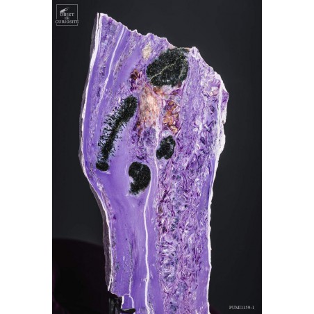 Charoite (purple) on black base