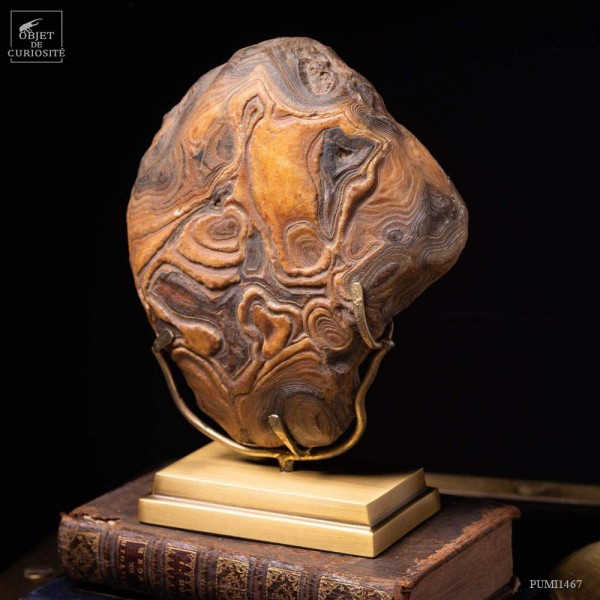Agate naturellement polie par l'eau.