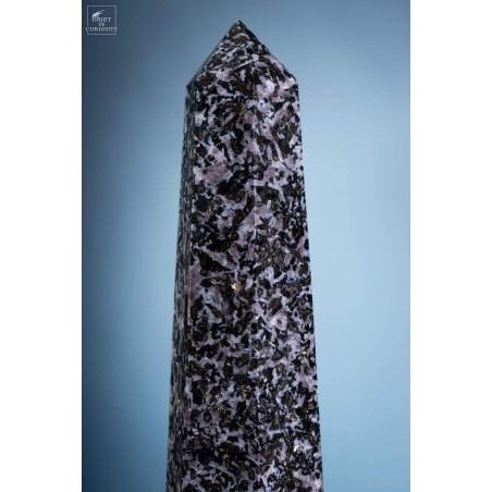 Prisme de Gabbro noir de 6.2kg