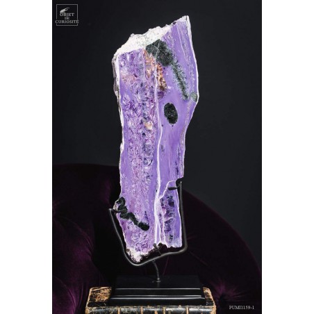 Charoite (purple) on black base