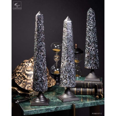 Prisme de Gabbro noir de 2.7kg