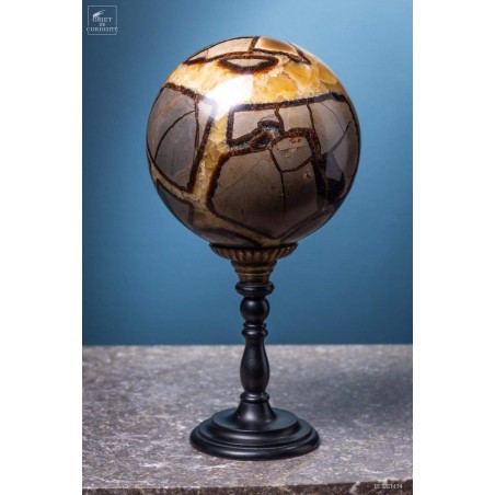 Septaria ball on black base