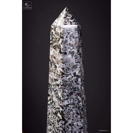 Prisme de Gabbro noir de 2.7kg