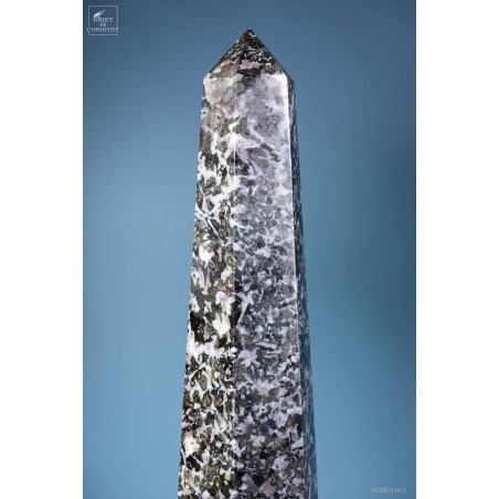 Prisme de Gabbro noir de 5.1kg
