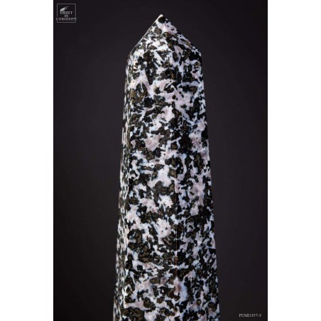 Prisme de Gabbro noir de 2.1kg