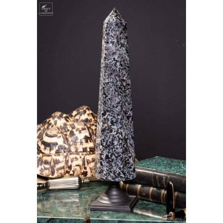 Prisme de Gabbro noir de 2.7kg