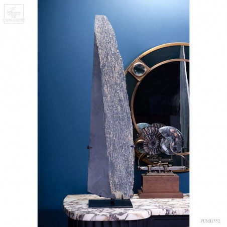 Cubic Pyrite in slate -  St Créac (France)