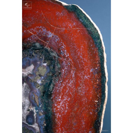 Slice of red jasper from Brazil, on black base