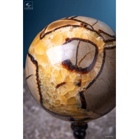Septaria ball on black base