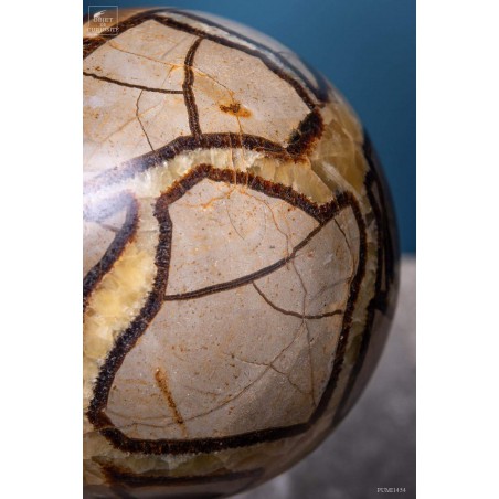 Septaria ball on black base