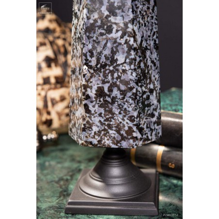 Prisme de Gabbro noir de 2.7kg