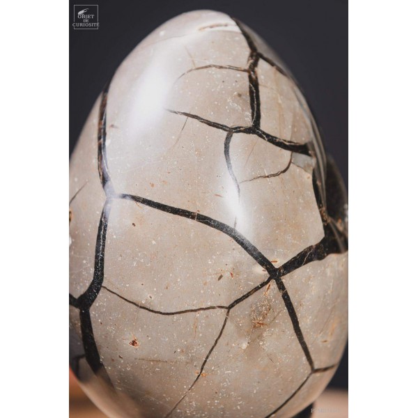 Septaria forme oeuf  (1.5kg) de Madagasar, base noire