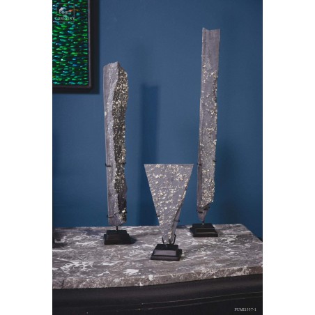 Cubic Pyrite in slate -  Lourdes (France)