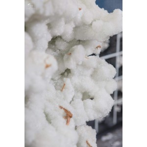 Crystalized branch with gypsum under glass ( Australia) 2