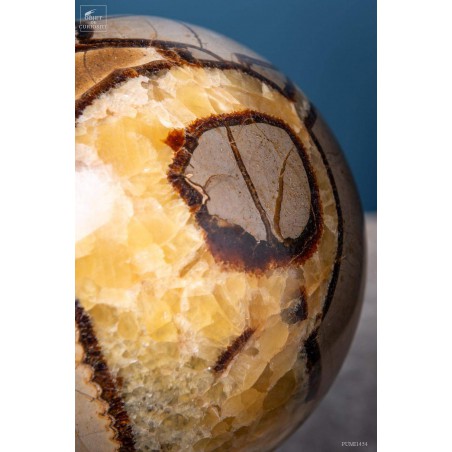 Septaria ball on black base