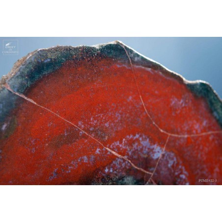 Slice of red jasper from Brazil, on black base
