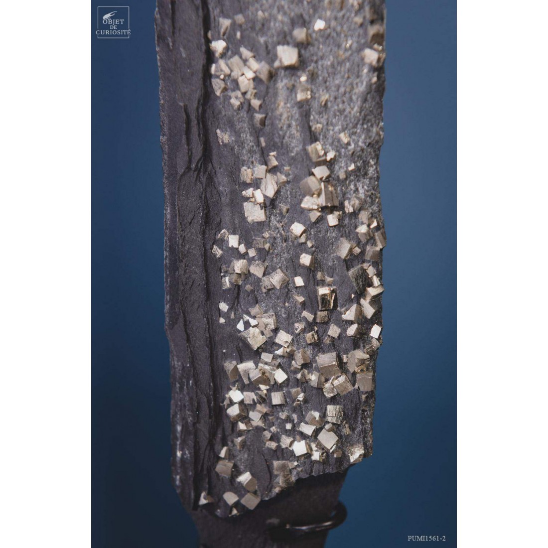 Pyrite cubique sur ardoise  de Lourdes  660g Pyrite cubique sur ardoise  de Lourdes  660g