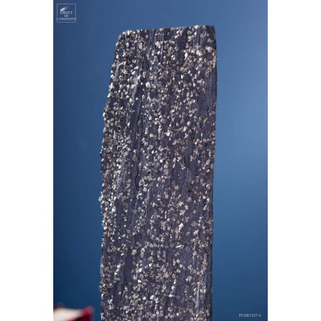 Cubic Pyrite on slate (2.4kg) -  Lourdes  (France).