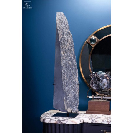 Cubic Pyrite in slate -  St Créac (France)