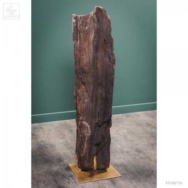 Tronc fossile cristallisé 80kg Tronc fossile cristallisé 80kg