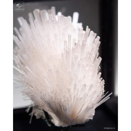 Scolecite in square box with glass, on base