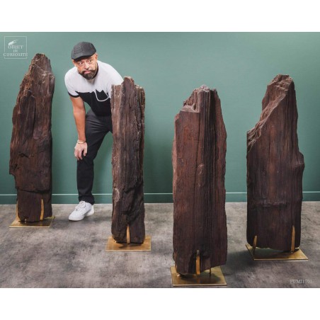 Tronc fossile cristallisé 80kg Tronc fossile cristallisé 80kg