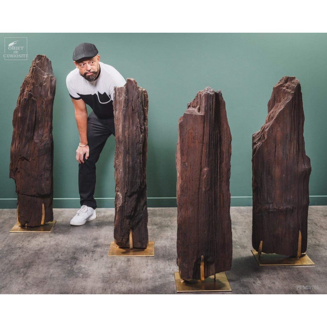 Tronc fossile cristallisé 80kg Tronc fossile cristallisé 80kg