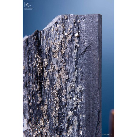 Pyrite cubique (2.3kg) dans ardoise des carrières de St Créac (France)