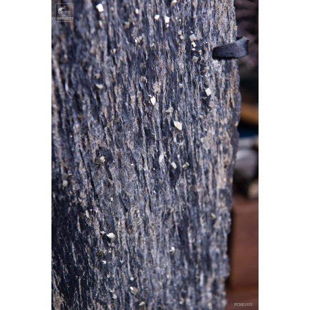 Cubic Pyrite in slate -  St Créac (France)