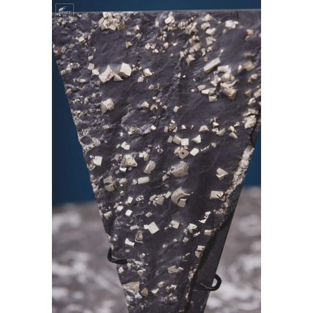 Cubic Pyrite in slate -  Lourdes (France)