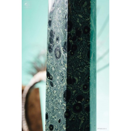 The Kambamba from Madagascar is called the Crocodile Jasper. It has long been be