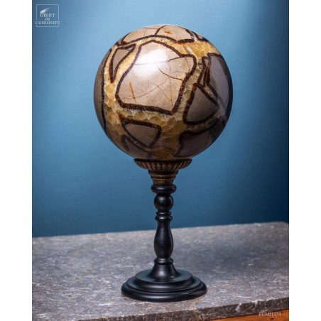 Septaria ball on black base