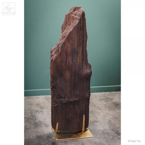 Tronc fossile cristallisé 87kg