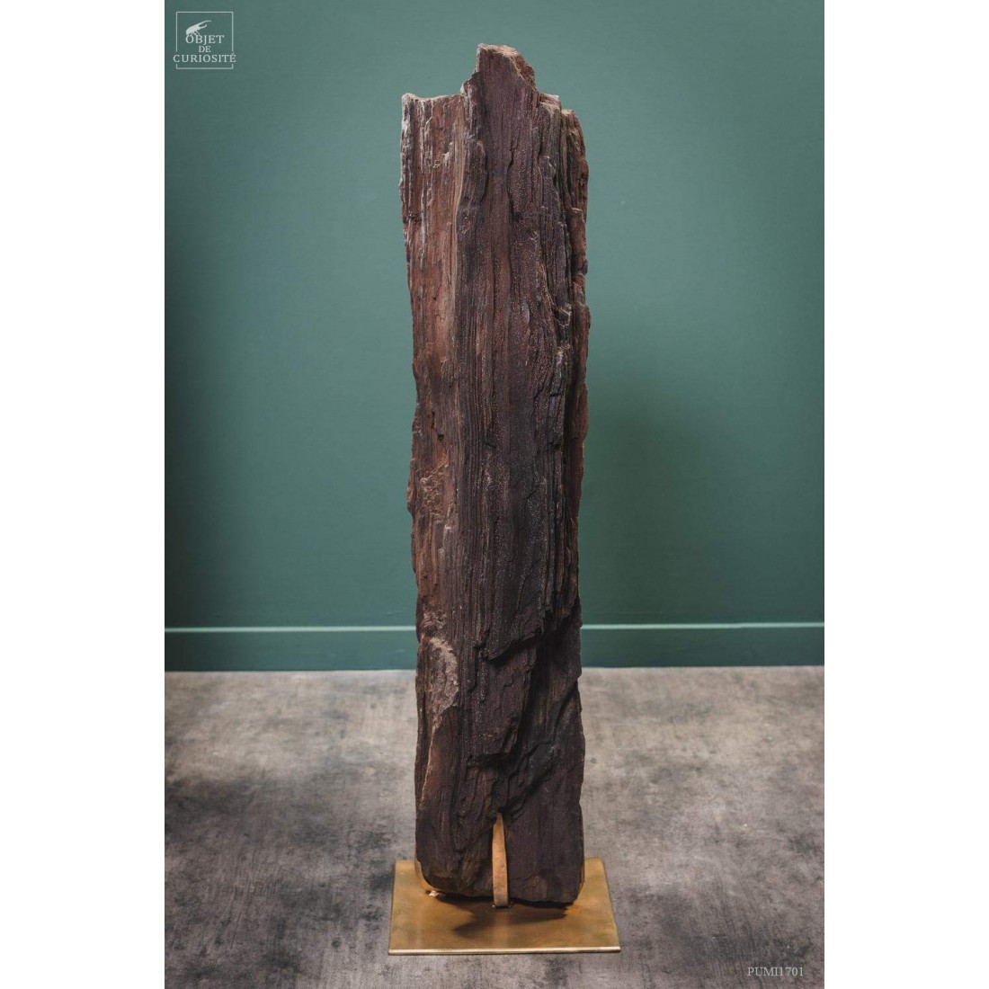 Tronc fossile cristallisé 80kg Tronc fossile cristallisé 80kg