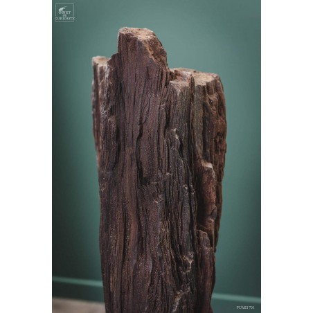 Tronc fossile cristallisé 80kg Tronc fossile cristallisé 80kg