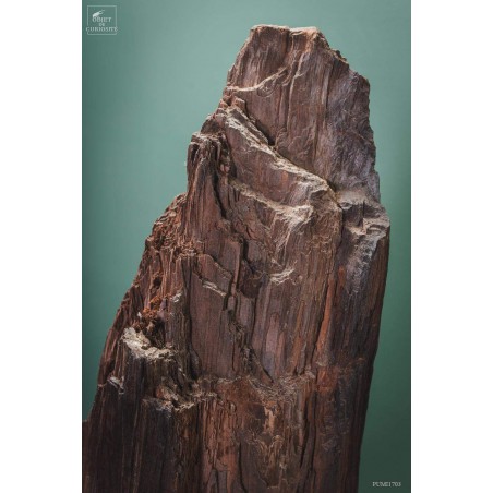Crystallized fossil trunk -94kg