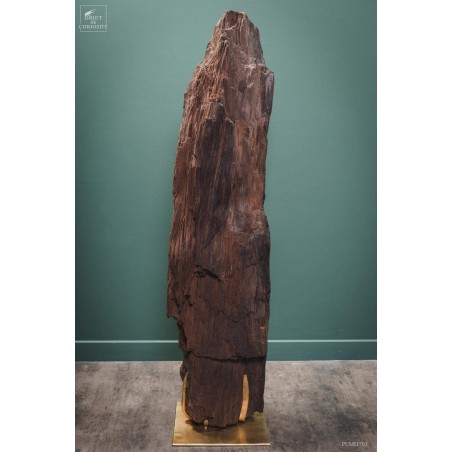 Crystallized fossil trunk -94kg