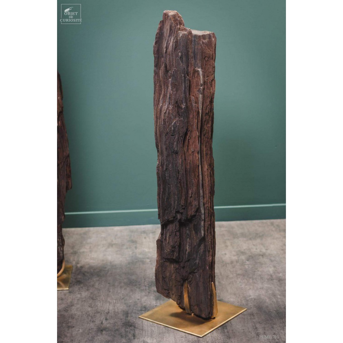 Tronc fossile cristallisé 80kg Tronc fossile cristallisé 80kg